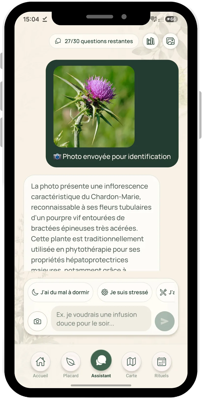 Écran d'analyse d'une plante par l'IA