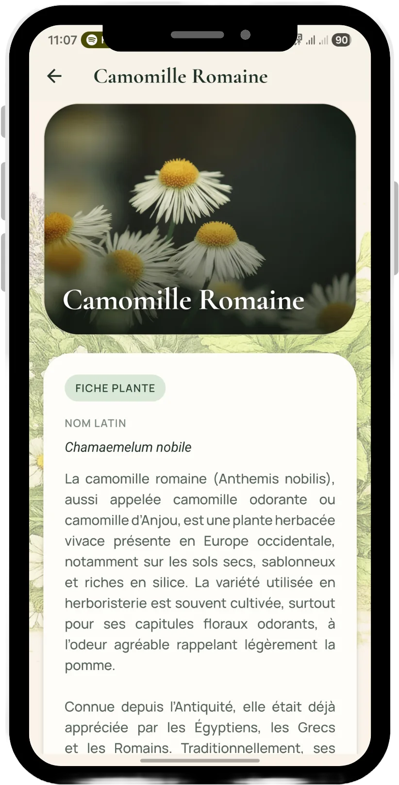 Fiche détaillée d'une plante